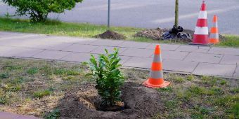 20200608_B7_Verabschiedung_Bucsky