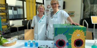 BILD