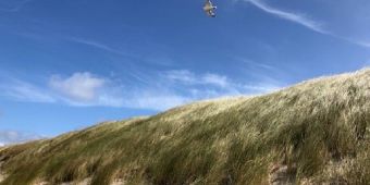 Foto: Dünenlandschaft