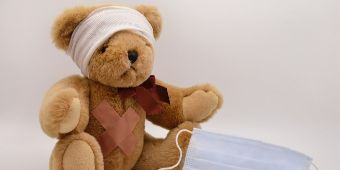 Foto: Teddy mit Verband
