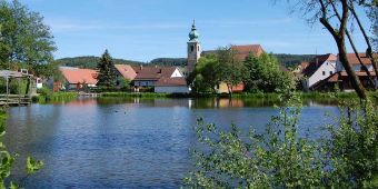 Fotowettbewerb „Stadt und Landkreis Oberviechtach von seiner schönsten Seite“