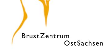 BZOS Logo