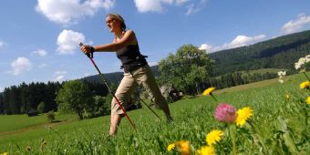 Bild:NordicWalking4_k