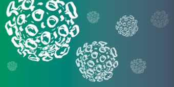 Bild: Illustration des neuartigen Coronavirus