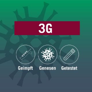 3G web